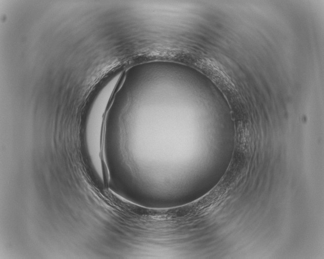 X0000087350692200705111620