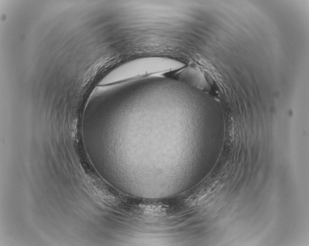 X0000087350693200705111620
