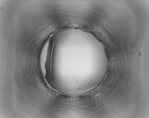 X0000087350696200705111620