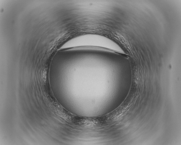 X0000087350697200705111620