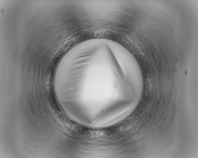 X0000087350698200705111620
