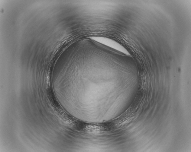 X0000087350699200705111620