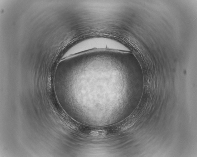 X0000087350700200705111620