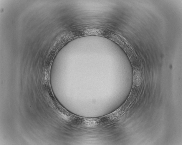 X0000087350701200705111620
