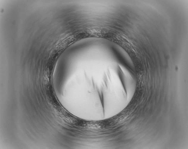 X0000087350702200705111620
