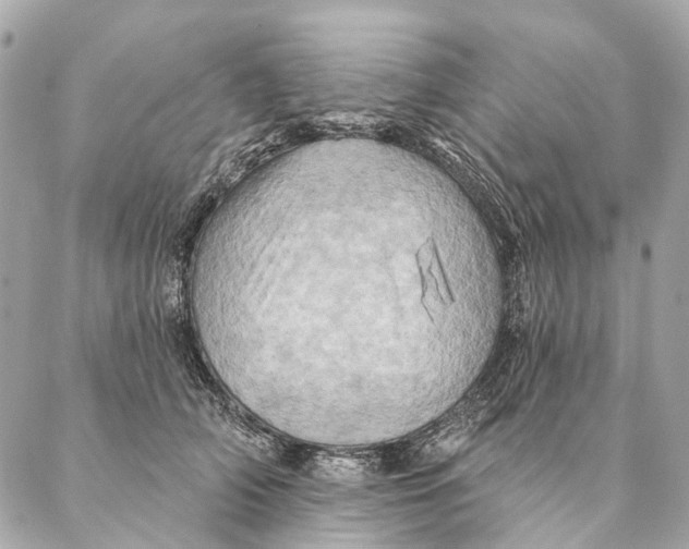 X0000087350706200705111620