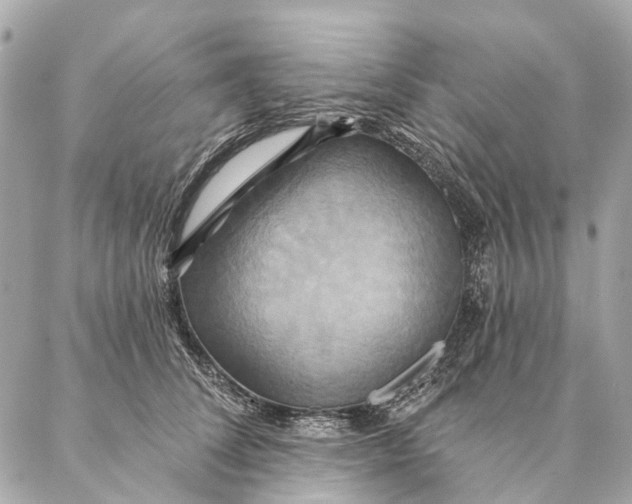 X0000087350708200705111620
