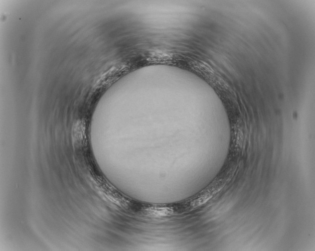 X0000087350711200705111620