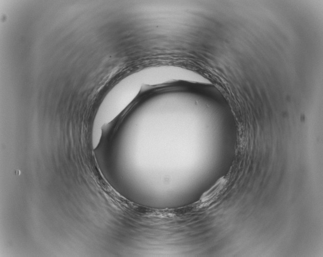 X0000087350712200705111620