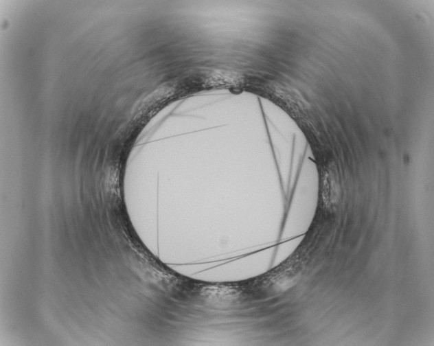 X0000087350714200705111620