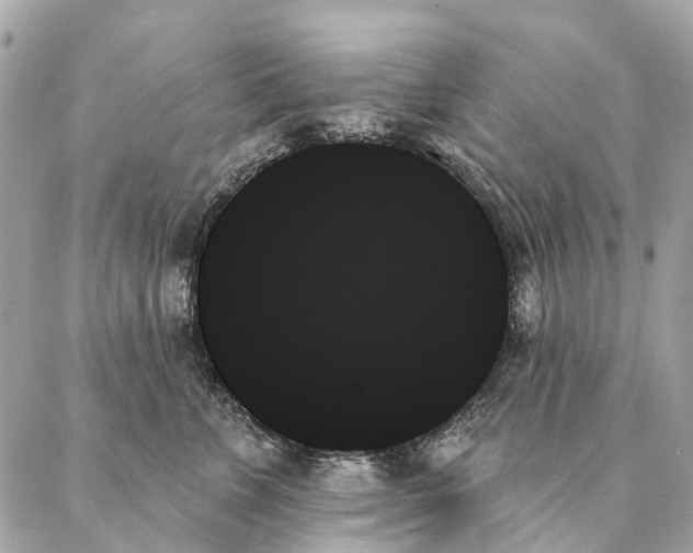 X0000087350715200705111620