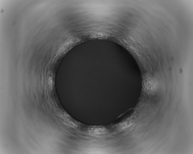 X0000087350716200705111620