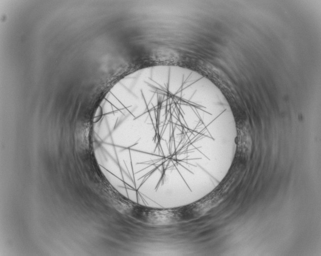 X0000087350717200705111620