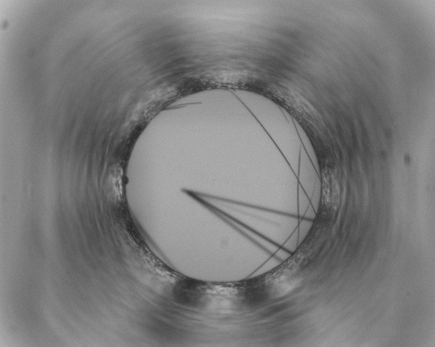 X0000087350718200705111620
