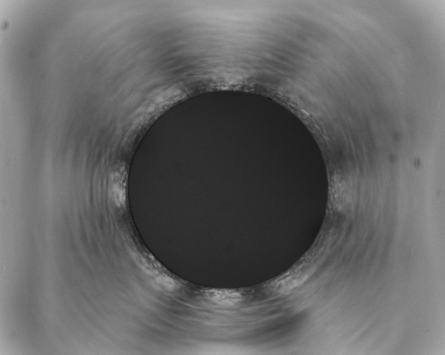 X0000087350719200705111620