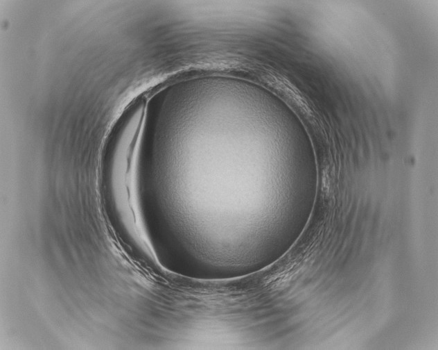 X0000087350724200705111619
