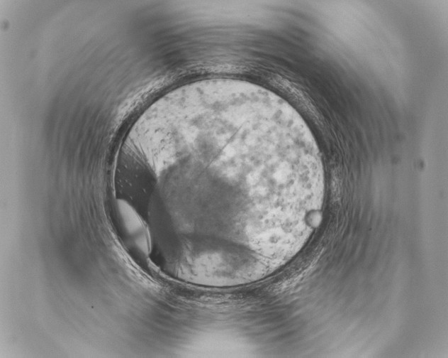 X0000087350725200705111619
