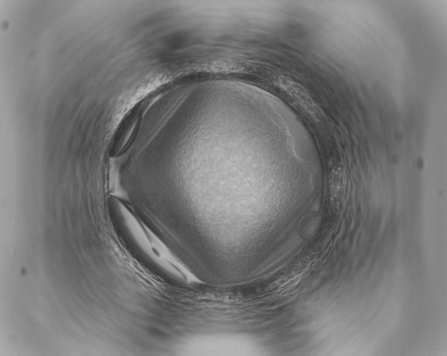 X0000087350727200705111619