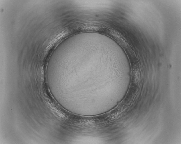 X0000087350729200705111619
