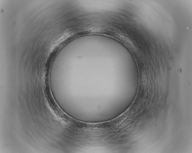 X0000087350730200705111619