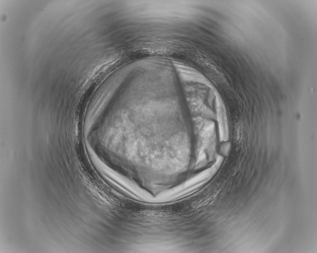 X0000087350733200705111619