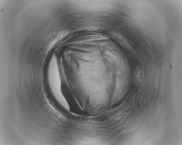 X0000087350734200705111619