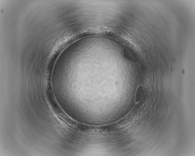 X0000087350736200705111619