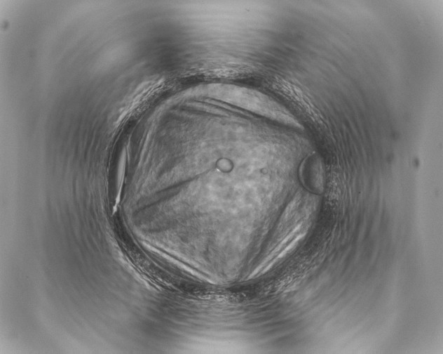 X0000087350738200705111619