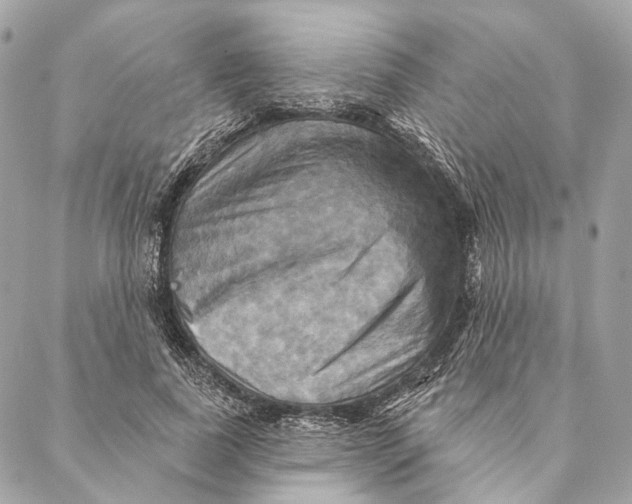X0000087350739200705111619