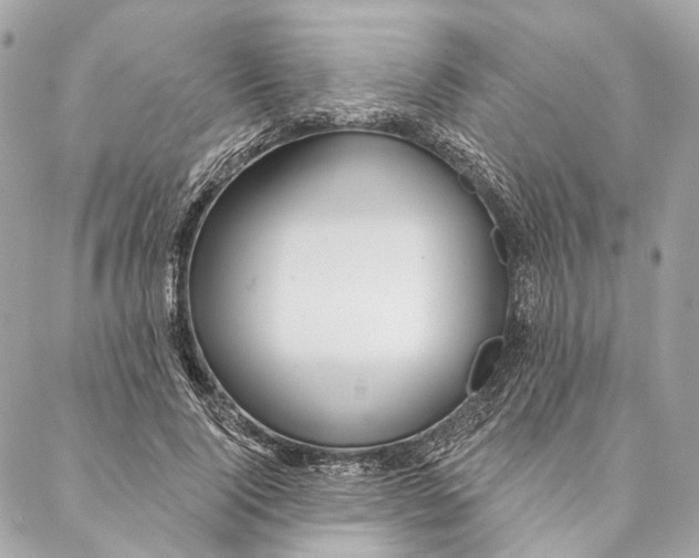 X0000087350740200705111619