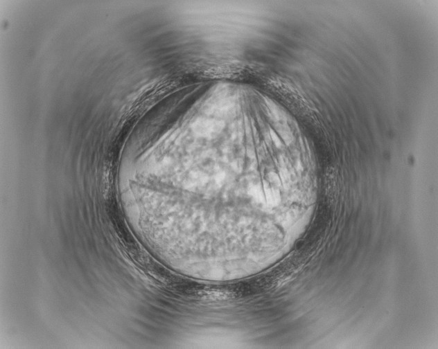 X0000087350741200705111619
