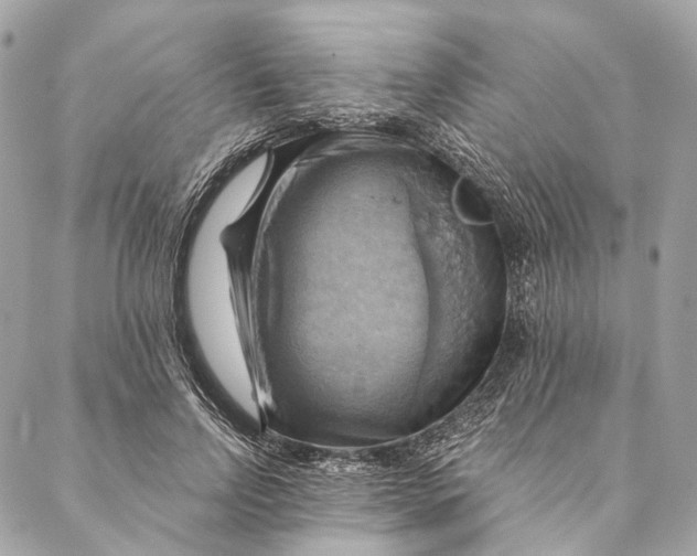 X0000087350742200705111619