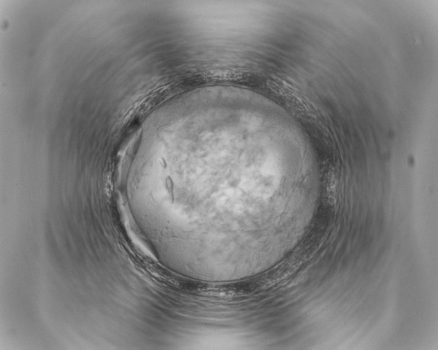 X0000087350746200705111619