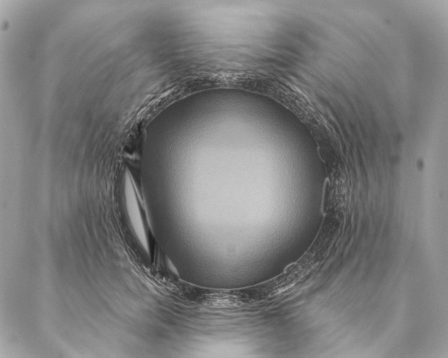 X0000087350750200705111619