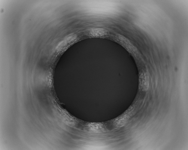 X0000087350762200705111620