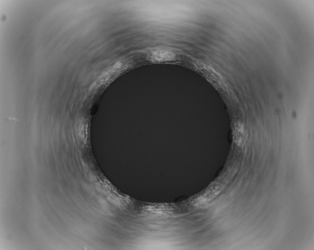 X0000087350763200705111620