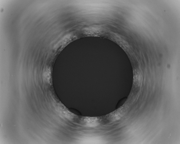 X0000087350767200705111620