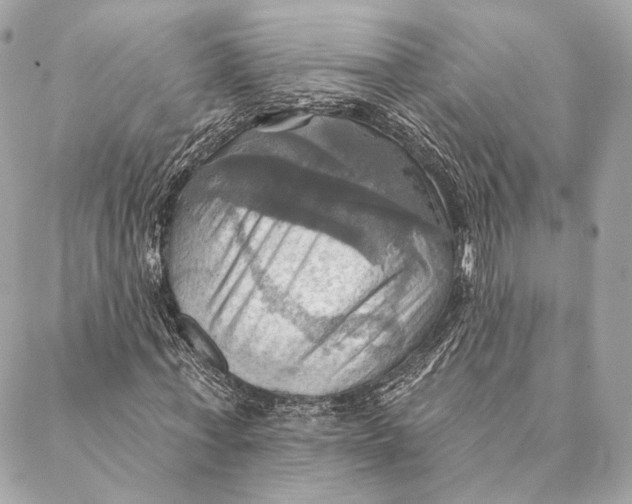 X0000087350771200705111619