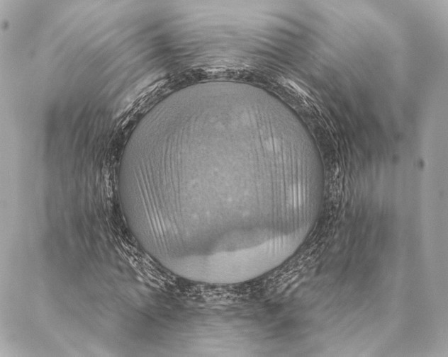 X0000087350774200705111619
