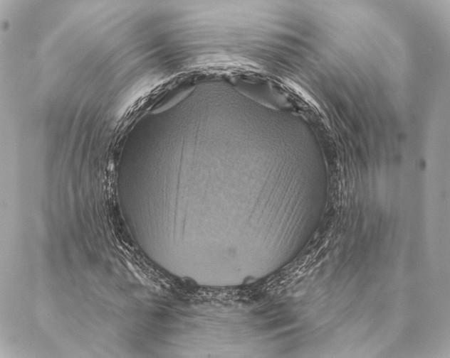 X0000087350775200705111619