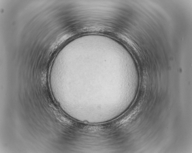 X0000087350778200705111619