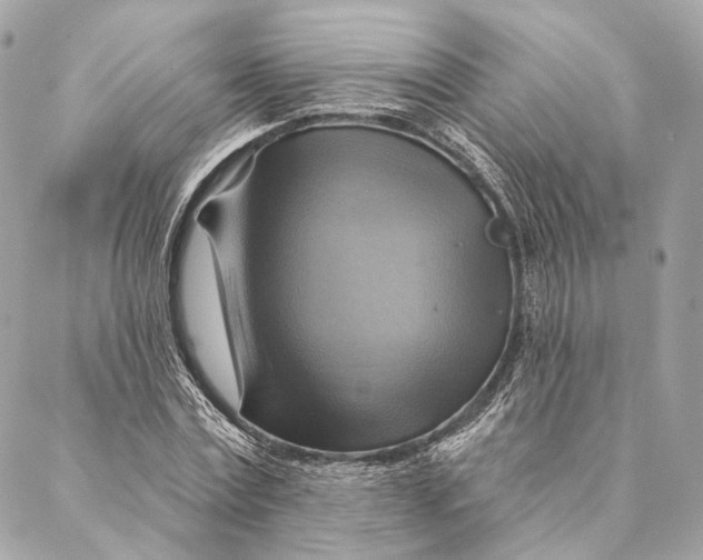 X0000087350779200705111619