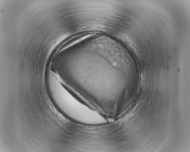 X0000087350780200705111619