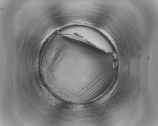 X0000087350783200705111619
