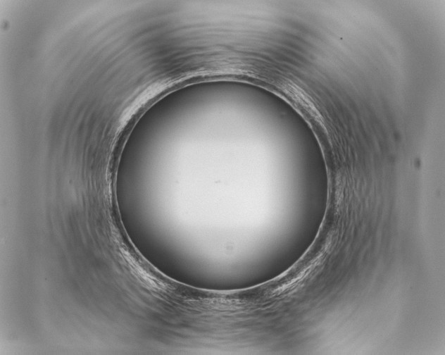 X0000087350789200705111619