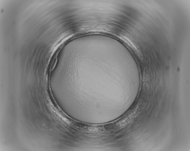 X0000087350790200705111619