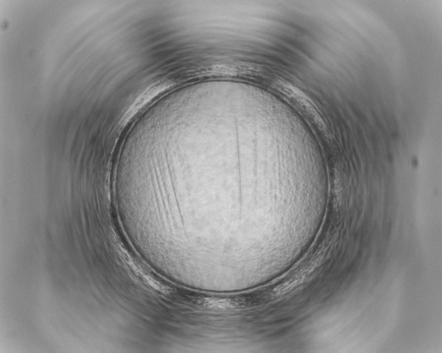 X0000087350794200705111618