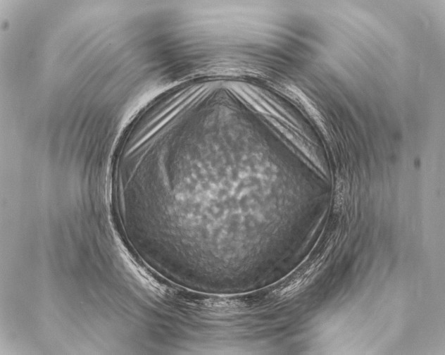 X0000087350795200705111618