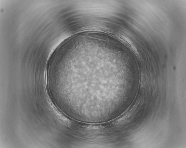 X0000087350796200705111618