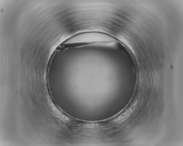 X0000087350797200705111618